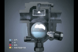 SSFM自由浮球压缩.gif